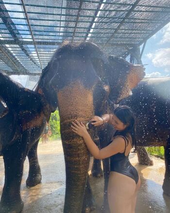 Private Leaked Aila nerve exclusive onlyfans photos 2026