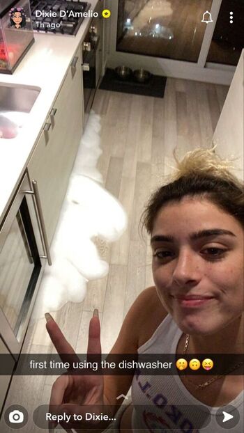 Private Leaked Dixie de amelio exclusive onlyfans photos 2026
