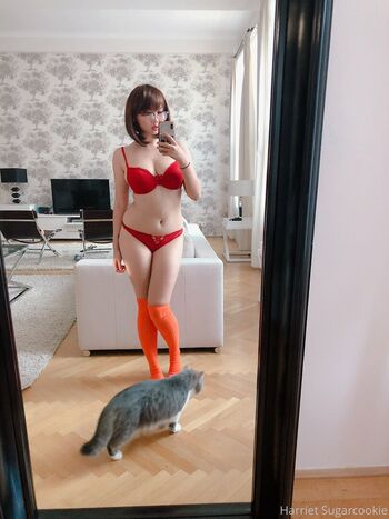 Private Leaked Harriet sugarcookie exclusive onlyfans photos 2026