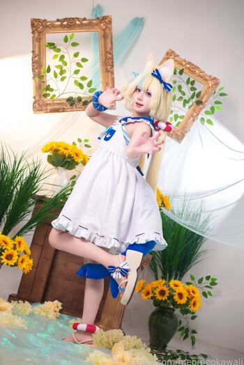 Kawaiimeochan