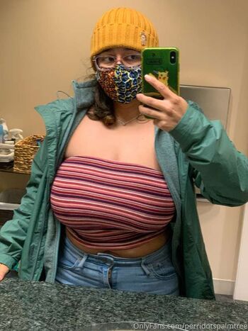 Private Leaked Perridotspalmtree exclusive onlyfans photos 2026