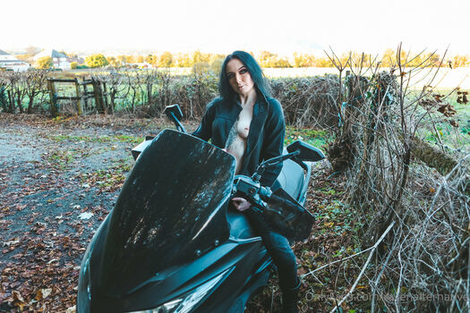 raven_alternative