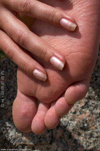 Scandinavian Feet