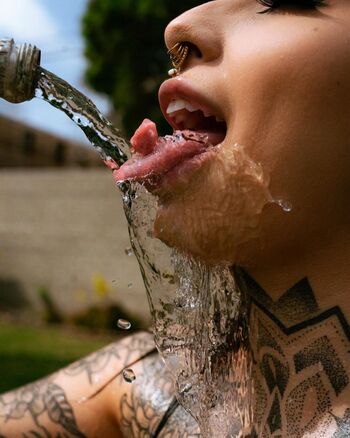 Split_tongue_bri
