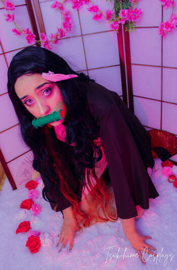 Tsukihime Cosplays