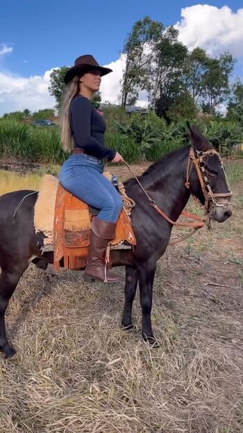 Private Leaked Vanessa araujo exclusive onlyfans photos 2026