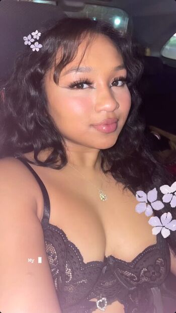 Visual Vixen