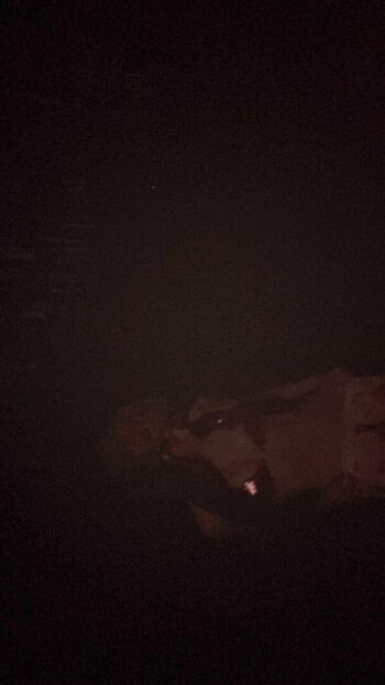 Private Leaked War hampster exclusive onlyfans photos 2026