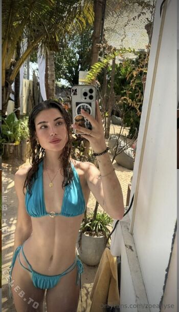 Private Leaked Zoeallyse exclusive onlyfans photos 2026